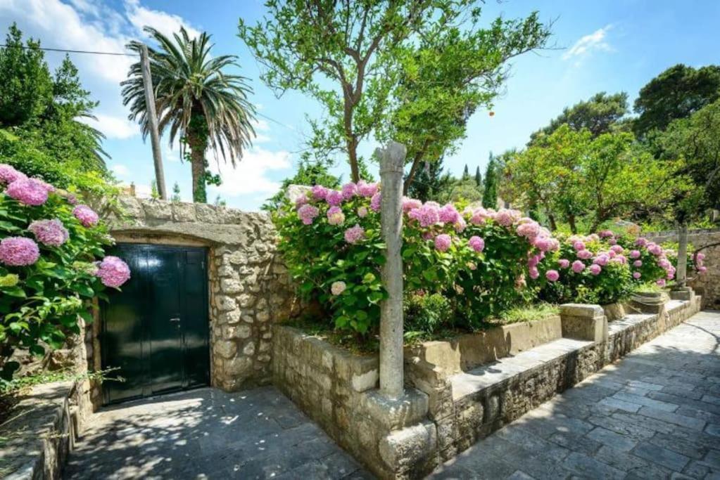 The Soldo'S Διαμέρισμα Ντουμπρόβνικ Εξωτερικό φωτογραφία